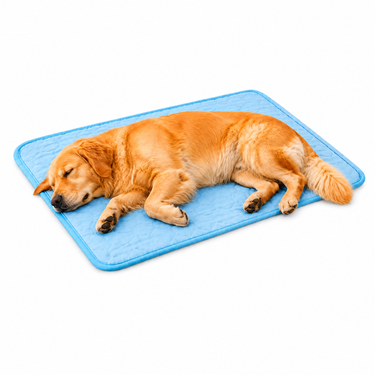 AeroPAWS - Paws down. Cool down.